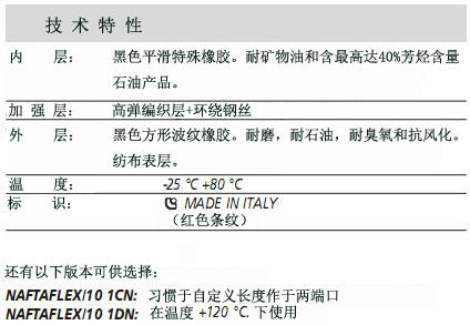 NAFTAFLEX 10 1BN 油管.jpg